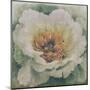 Nostalgic Peony Blossom-null-Mounted Art Print