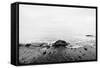 Nostalgic Sea. Waves Hitting in Rock in the Center. Black and White, far Horizon.-Michal Bednarek-Framed Stretched Canvas