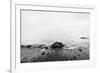 Nostalgic Sea. Waves Hitting in Rock in the Center. Black and White, far Horizon.-Michal Bednarek-Framed Photographic Print