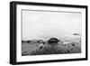 Nostalgic Sea. Waves Hitting in Rock in the Center. Black and White, far Horizon.-Michal Bednarek-Framed Photographic Print