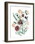 Nostalgic Wilderness Finds-Katrien Soeffers-Framed Giclee Print