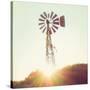 Nostalgic Windmill-Mandy Lynne-Stretched Canvas