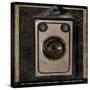 Nostalgica: Vintage Camera-Mindy Sommers-Stretched Canvas