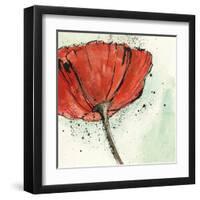 Not a California Poppy I-Chris Paschke-Framed Art Print