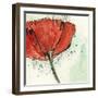 Not a California Poppy I-Chris Paschke-Framed Art Print