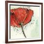 Not a California Poppy I-Chris Paschke-Framed Art Print