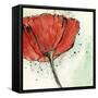 Not a California Poppy I-Chris Paschke-Framed Stretched Canvas