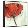 Not a California Poppy I-Chris Paschke-Framed Stretched Canvas