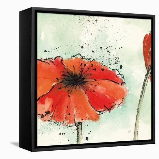 Not a California Poppy III-Chris Paschke-Framed Stretched Canvas