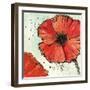 Not a California Poppy IV-Chris Paschke-Framed Art Print