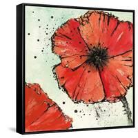 Not a California Poppy IV-Chris Paschke-Framed Stretched Canvas