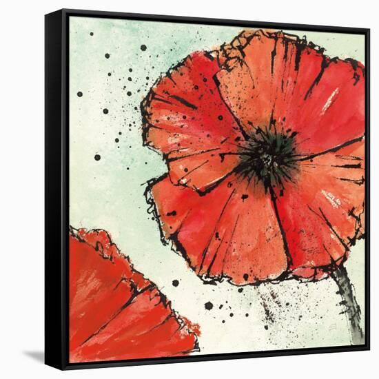 Not a California Poppy IV-Chris Paschke-Framed Stretched Canvas