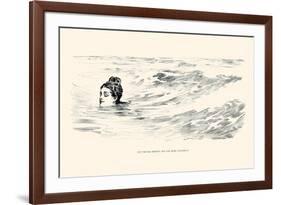 Not a Sea Serpent-Charles Dana Gibson-Framed Art Print