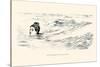 Not a Sea Serpent-Charles Dana Gibson-Stretched Canvas