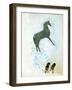 Not a White Horse-George Adamson-Framed Giclee Print
