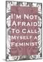 Not Afraid To Call Myself A Feminist-null-Mounted Poster