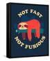 Not Fast, Not Furious-Michael Buxton-Framed Stretched Canvas