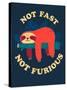 Not Fast, Not Furious-Michael Buxton-Stretched Canvas