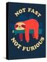 Not Fast, Not Furious-Michael Buxton-Stretched Canvas