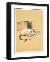 Not Finding the Chocolates, A Gay Dog, Story of a Foolish Year, Aldin, Cecil Charles Windsor-Cecil Aldin-Framed Giclee Print