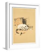 Not Finding the Chocolates, A Gay Dog, Story of a Foolish Year, Aldin, Cecil Charles Windsor-Cecil Aldin-Framed Giclee Print