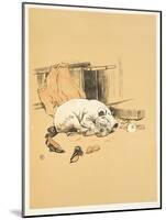 Not Finding the Chocolates, A Gay Dog, Story of a Foolish Year, Aldin, Cecil Charles Windsor-Cecil Aldin-Mounted Giclee Print