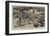 Not in Earnest, a Native War Dance before Lord Wolseley at the Mudireh, Dongola-Frederic Villiers-Framed Giclee Print