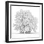 Not just white-Philippe Sainte-Laudy-Framed Photographic Print