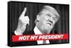 Not My President-Ephemera-Framed Stretched Canvas