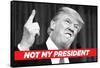 Not My President-Ephemera-Framed Stretched Canvas