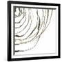 Not Quite Concentric IV-Chris Paschke-Framed Premium Giclee Print