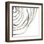 Not Quite Concentric IV-Chris Paschke-Framed Art Print