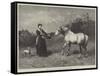 Not to Be Caught by Chaff-Heywood Hardy-Framed Stretched Canvas