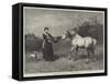 Not to Be Caught by Chaff-Heywood Hardy-Framed Stretched Canvas