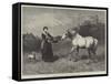 Not to Be Caught by Chaff-Heywood Hardy-Framed Stretched Canvas