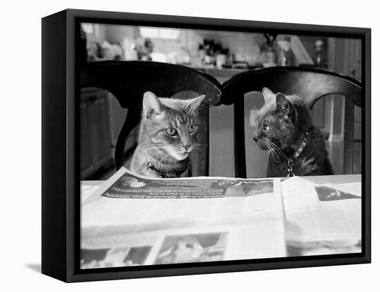 Not While I’m Reading-Kim Levin-Framed Stretched Canvas