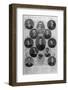 Notable Passengers on the Titanic Including Amongst Others Laurence Beesley and H. Lowe-null-Framed Photographic Print