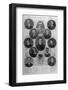 Notable Passengers on the Titanic Including Amongst Others Laurence Beesley and H. Lowe-null-Framed Photographic Print