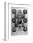 Notable Passengers on the Titanic Including Amongst Others Laurence Beesley and H. Lowe-null-Framed Photographic Print