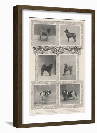 Notable Prize-Winners at the Kennel Club's Forty-Sixth Exhibition-null-Framed Giclee Print