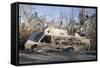 Note Written by Hurricane Katrina Victims on Vehicle Damged by Hurricane-John Cancalosi-Framed Stretched Canvas