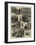 Notes at a Dog-Show-S.t. Dadd-Framed Giclee Print