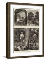 Notes at Hawarden-Harry Hamilton Johnston-Framed Giclee Print