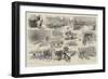 Notes at Oxford and Cambridge During the Training of the Crews-Sydney Prior Hall-Framed Giclee Print