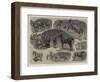 Notes at the Hackney Horse Society's Show-John Charlton-Framed Giclee Print