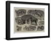 Notes at the Hackney Horse Society's Show-John Charlton-Framed Giclee Print