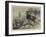 Notes at the Zoological Gardens, Corsican Moufflons-null-Framed Giclee Print