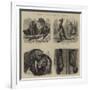 Notes at the Zoological Gardens-null-Framed Giclee Print