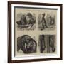 Notes at the Zoological Gardens-null-Framed Giclee Print