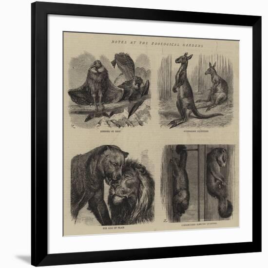 Notes at the Zoological Gardens-null-Framed Giclee Print